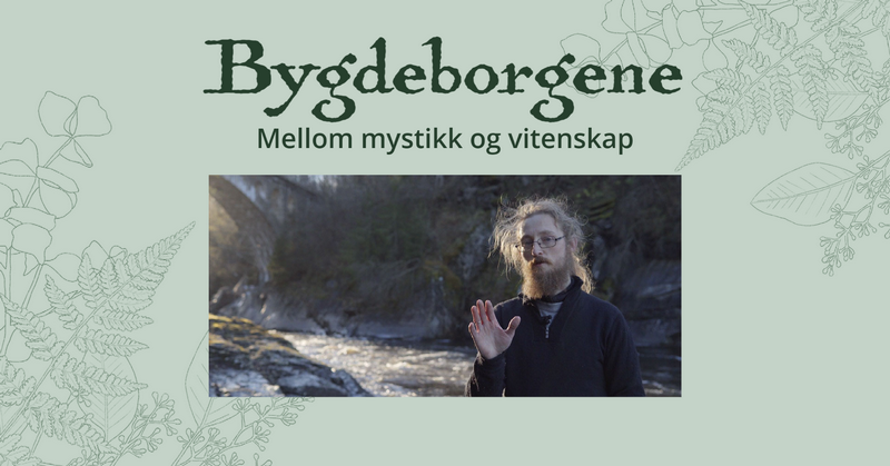 Bygdeborgene